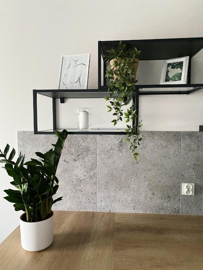 Appartement Igoaparts Wroblewskiego à Łódź Extérieur photo